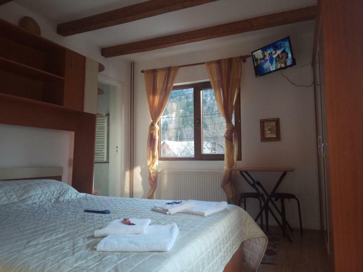 Casa Alexandru Ξενοδοχείο Azuga Εξωτερικό φωτογραφία
