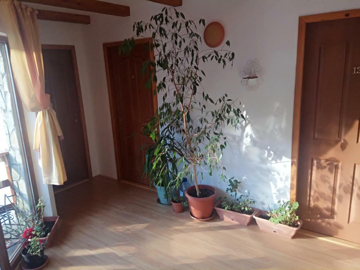 Casa Alexandru Ξενοδοχείο Azuga Εξωτερικό φωτογραφία